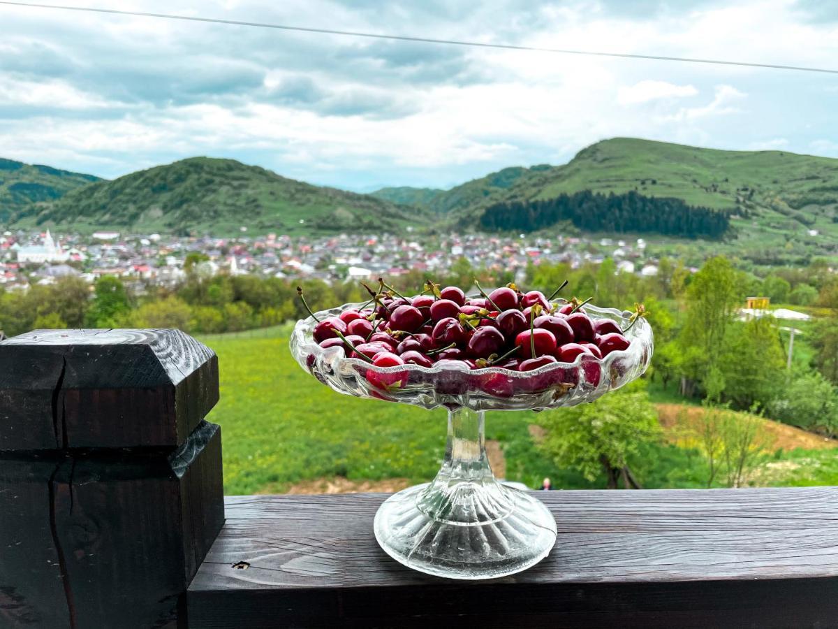 Panoramic Sus In Deal Viseu de Jos Eksteriør billede