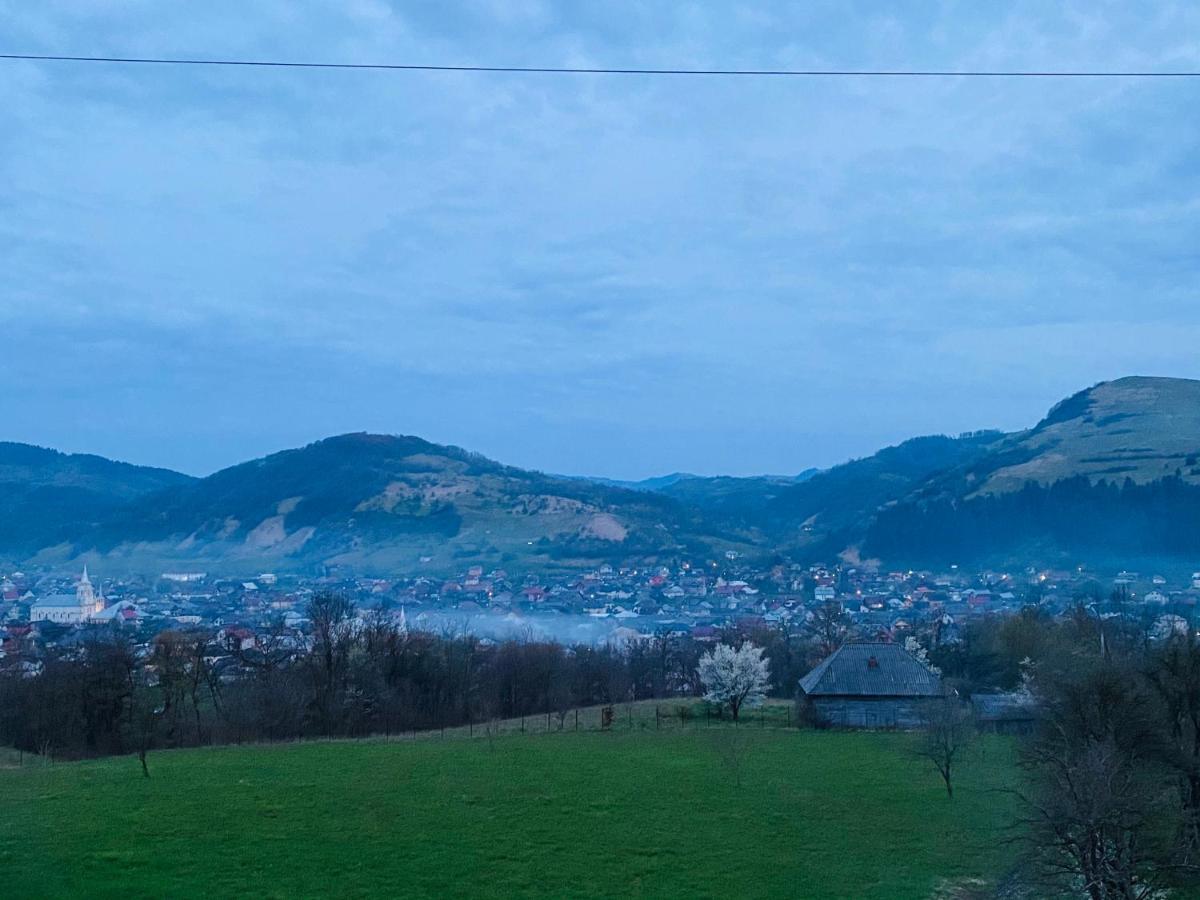 Panoramic Sus In Deal Viseu de Jos Eksteriør billede