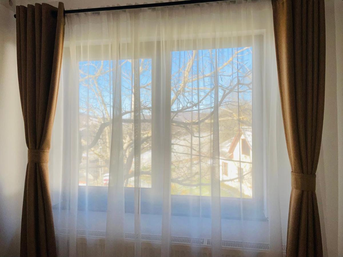 Panoramic Sus In Deal Viseu de Jos Eksteriør billede